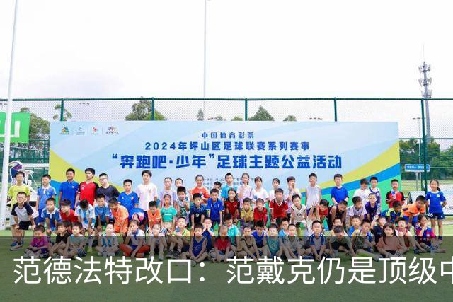 范德法特改口：范戴克仍是顶级中卫，他还是我们荷兰队的核心