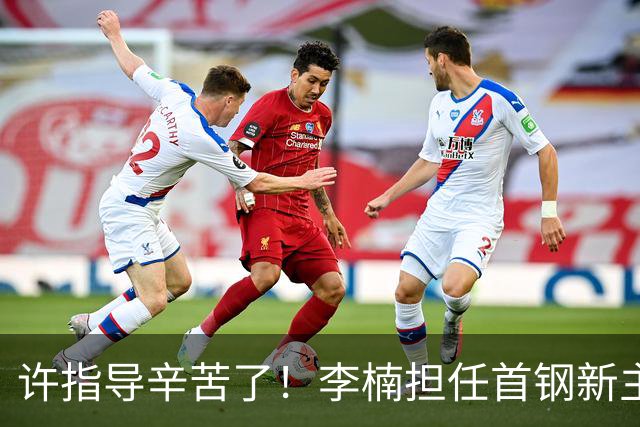 许指导辛苦了！李楠担任首钢新主帅 赵睿态度非争冠唯一障碍